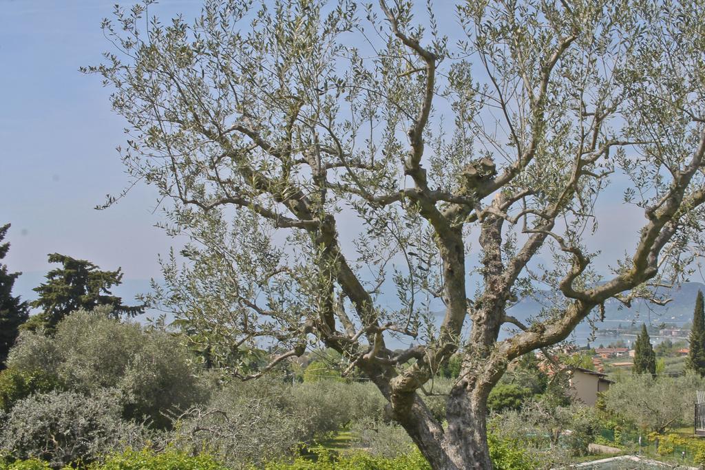 Lovely Villa Elena - Garda Lake Bardolino Esterno foto